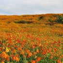 선학체육관 이미지