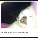 공감 이미지