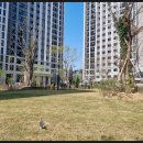 동안성공인중개사사무소 | 아파트 찾는다면 꼭 가봐야 할 곳! 맞춤 상담이 인상 깊었던 동화탑자이중흥공인중개사사무소 솔직 후기