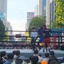 화랑 (권투) 이미지