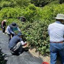 고창군청 이미지