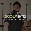 청담셀의원 이미지