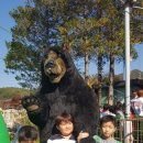 탑 태권스쿨 이미지