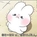양산부산대학교병원 악하선 침샘암 수술 후기😷