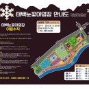 태백 눈꽃 야영장 이미지