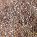 부귀산주차장 이미지