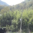 동정동010 이미지