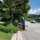 대문농장 이미지