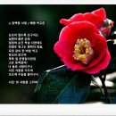 꽃사랑 이미지