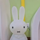 삼천도서관 | [전주 돌아기랑 가볼만한곳] 전주 삼천도서관 방문 후기