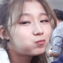 먹이창고