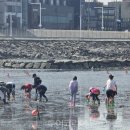 오이도어촌체험휴양마을 이미지