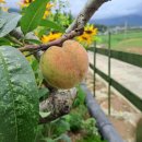 해남민박 이미지