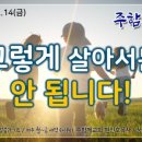 (주)함께 네이버블로그