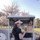 나이스웨이 | ⛳ 필드 위의 필수템, 웰틴 런던웨이와 함께한 라운딩
