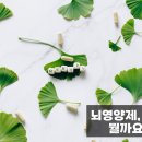 집중력 up 어린이 붓글씨 | 뇌영양제 솔직후기 &amp; 효과 정리 | 기억력, 집중력, 활력 UP!