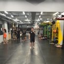 (유)동호택시 | 애니멀 플로우(Animal Flow) 레벨 1 서트 후기 -둘째날-