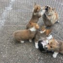 세광상사 이미지