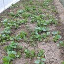 종순농장 이미지