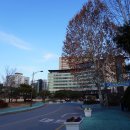 계룡스파텔 대온천탕 이미지