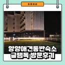 글램 | 비수기에만 추천하고싶은 양양 애견동반숙소 글램독 후기