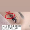 꼼꼼브로우 이미지