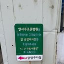 연세푸르른내과의원 이미지