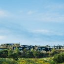 스테이 리네 이미지