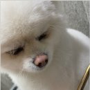 댕스살롱 이미지