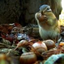 누리치과기공소 이미지