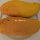 북스 in 푸켓!! 30+n년전 가격 실화?! 최애 망고! 무지개 망고!! 마하차녹 후기!!