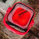 천년의 숲 화장실 이미지