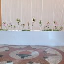 온누리펜션가든 이미지