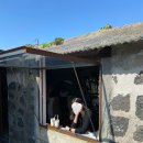 아이엠카페 이미지