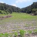 살미면사무소 이미지