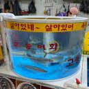 산양읍 삼덕리 산양읍사무소 밑 ∼ 산양읍사무소 | 약한 자는 살아남을 수 없다. 이순신 장군 기운 받으려다가 뚜들겨 맞고온 2박3일 통영여행 후기