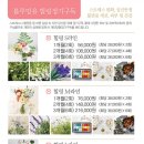 블루밍유