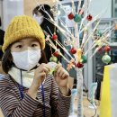 편백스테이 이미지