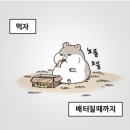 메디피트니스 이미지