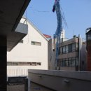 우강평야1로 이미지