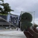 여주-0719 | 2025 몬스타엑스 콘서트 후기 / 커넥트엑스