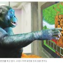 보노보 '칸지'... 유인원도 ‘사회적 지능’ 있다. 숨바꼭질서 동료 찾아내 / ‘마인크래프트’ 게임 이미지