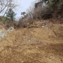 신114공인중개사사무소 이미지