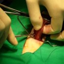 동물병원닥터스 이미지