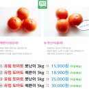 화악산유통 | 신맛이 덜한 물좋은 삿갓유통 유럽토마토! @토마토추천/토마토요리