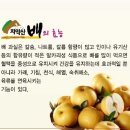 원주원예농협하나로클럽
