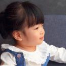 지리산봄날 이미지