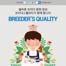 브리더스 퀄리티 이미지