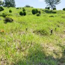 효자공원봉안당 이미지