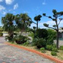 토마린 | 떠나는 뚜벅이 여행7ㅣ나미노우에 비치ㅣ토마린 항구ㅣ토마리 이유마치 수산시장ㅣ팥빙수 젠자이ㅣ...